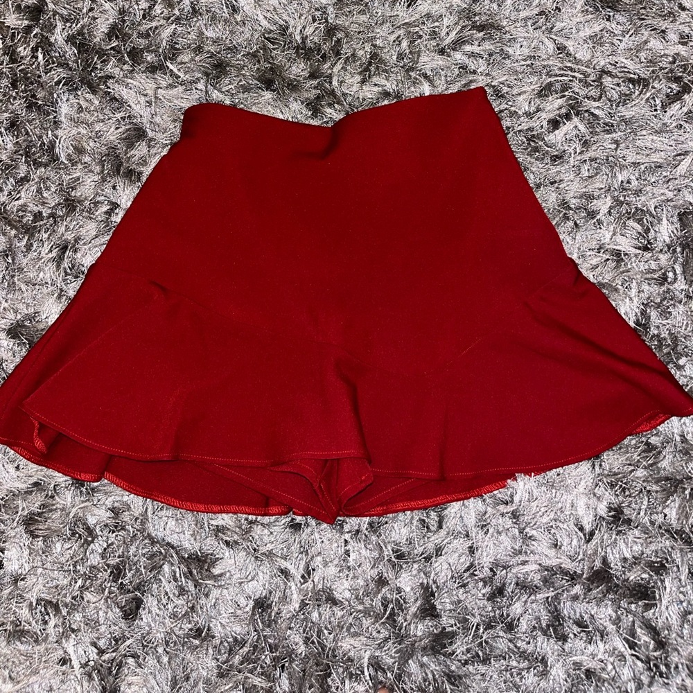 NWT Zara Skater Skirt w/ Bow in back